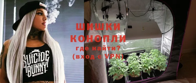 Каннабис White Widow  где можно купить   Ардон 